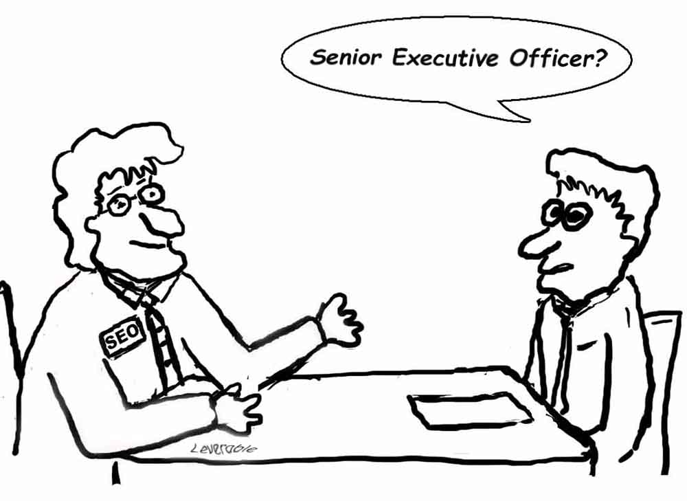 SEO Interviewer thinks SEO stands for Senior Executive Officer - Cartoon